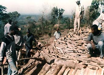  Stage en Guinée forestière 