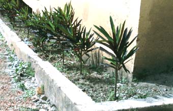 Préfecture de Mamou 